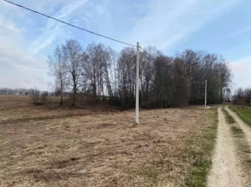 Участок в Московская область, Коломна городской округ, с. Редькино ул. ... - Фото 0