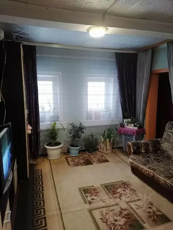 Дом в Курганская область, Курган Петропавловская ул. (36 м) - Фото 1