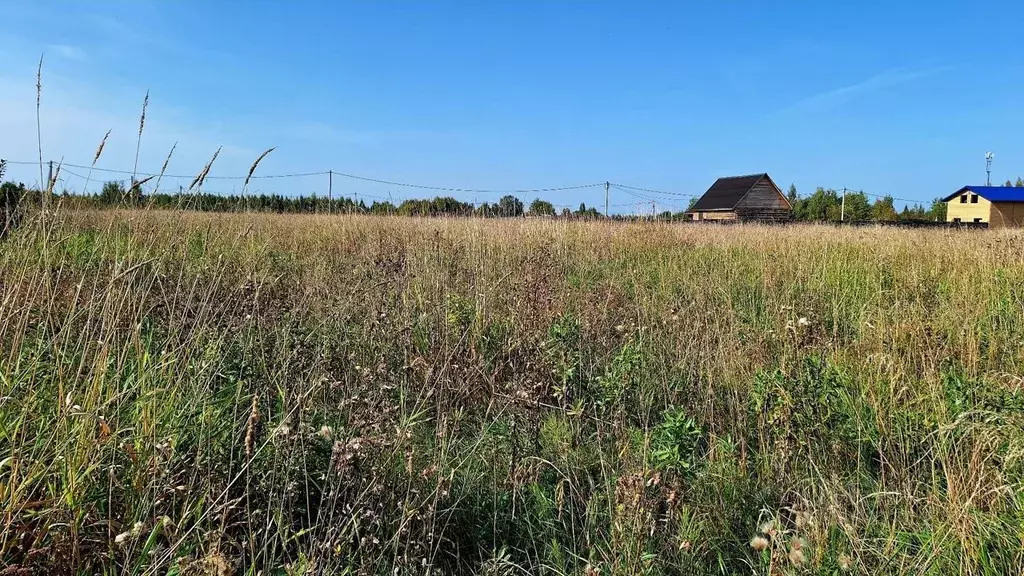 Участок в Новгородская область, Новгородский район, Ракомское с/пос, ... - Фото 1