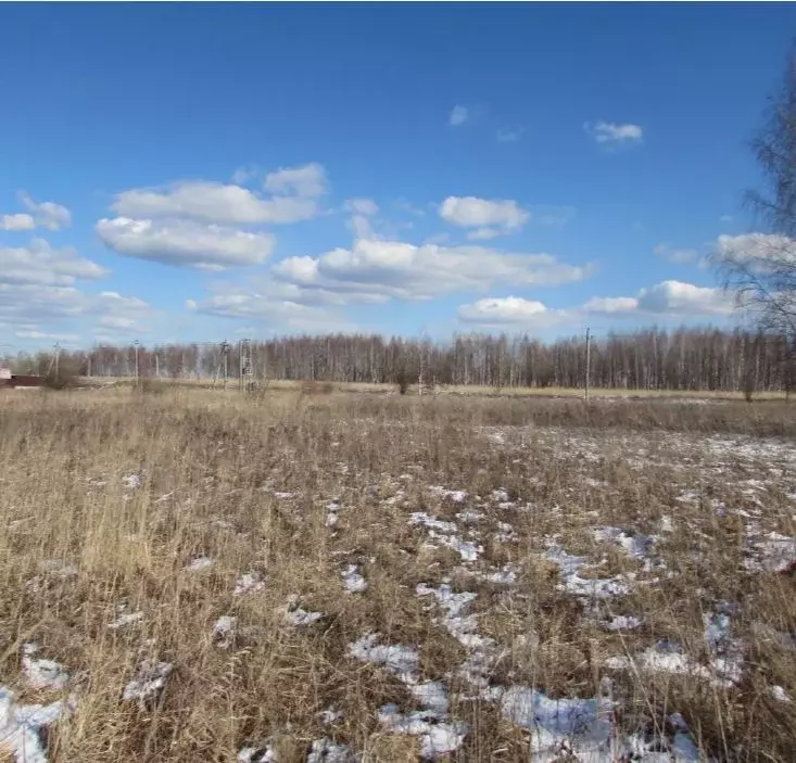 Участок в Московская область, Коломна городской округ, с. Никульское  ... - Фото 0