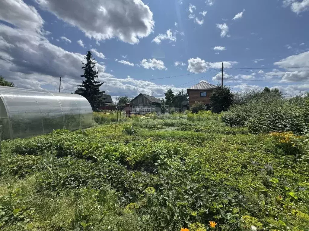 Участок в Тюменская область, Тюмень Мебельщик садовое товарищество, ... - Фото 0