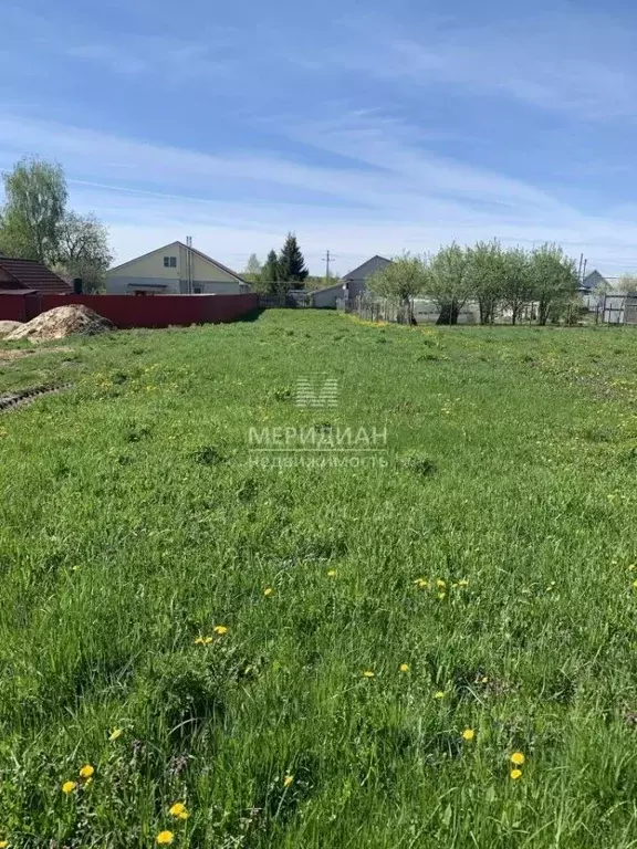 Участок в Нижегородская область, Бор муниципальный округ, д. ... - Фото 1