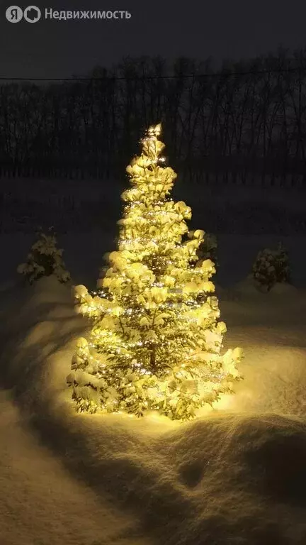 Участок в Челябинская область, Аргаяшский муниципальный округ, деревня ... - Фото 1