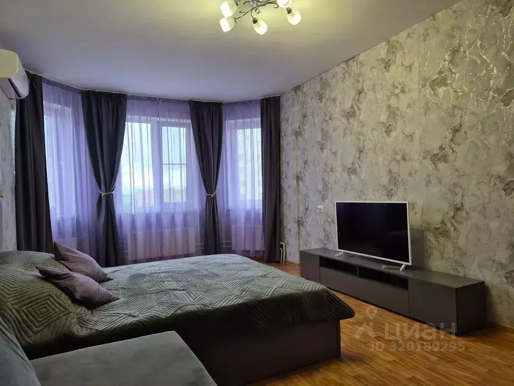 1-к кв. Нижегородская область, Нижний Новгород Мещерское Озеро ... - Фото 2