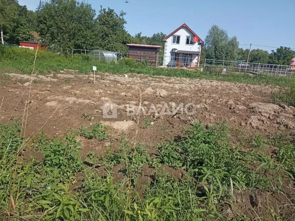 Участок в Калининградская область, Гурьевский муниципальный округ, ... - Фото 1