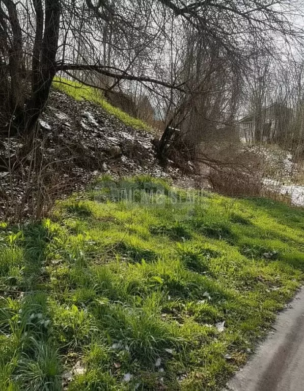 Участок в Пермский край, Пермь ул. Обросова (9.26 сот.) - Фото 2