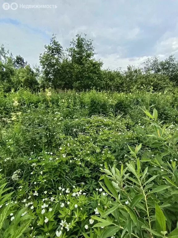 Участок в Екатеринбург, садоводческое некоммерческое товарищество ... - Фото 2
