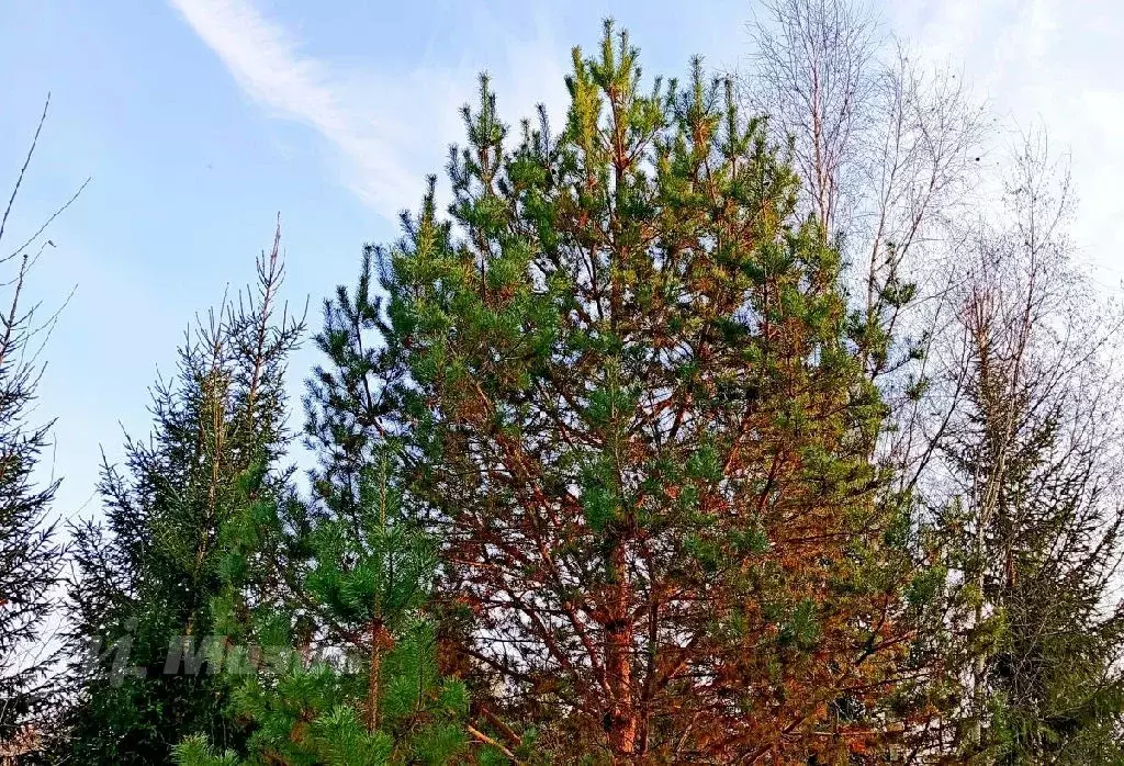 Продается участок в КП Скоротово - Фото 0