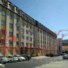 Комната Белгородская область, Белгород ул. Пушкина, 12 (8.0 м) - Фото 1