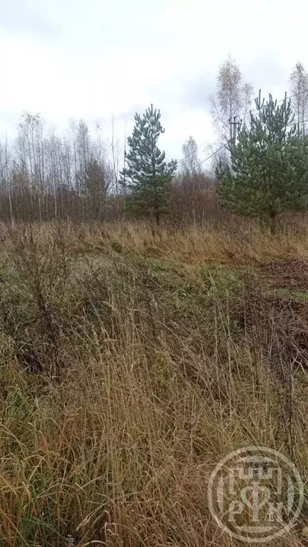 Участок в Ленинградская область, Лужский район, Скребловское с/пос, д. ... - Фото 1