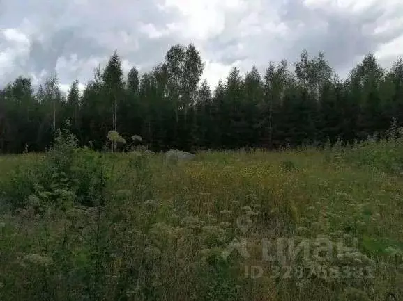 Участок в Московская область, Одинцовский городской округ, д. ... - Фото 1