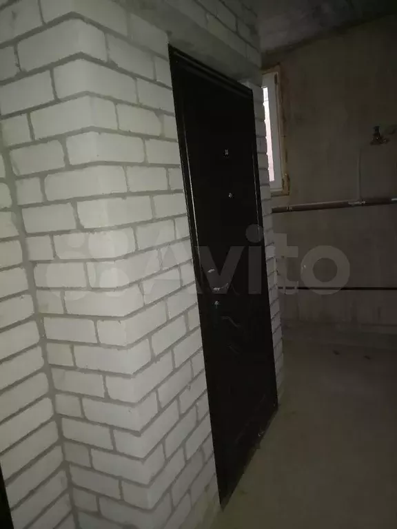 Кладовка в подвале жилого дома - Фото 1