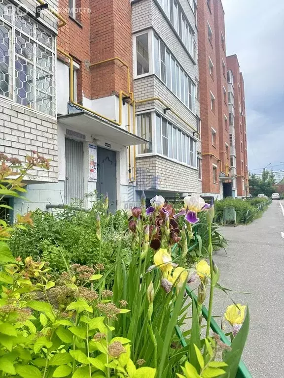 1-комнатная квартира: Чебоксары, улица Константина Иванова, 88 (47 м) - Фото 0