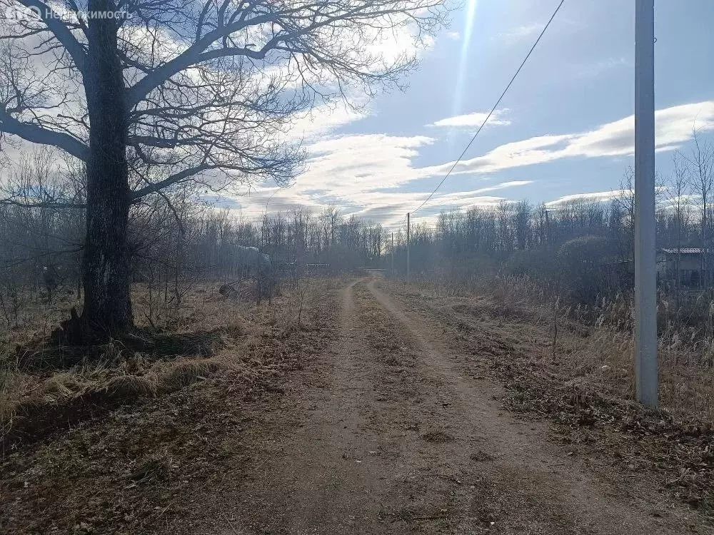 Участок в Новгородский муниципальный округ, Ермолинское сельское ... - Фото 1