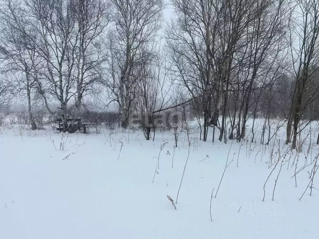 Участок в Камчатский край, Елизовский муниципальный округ, пос. ... - Фото 2