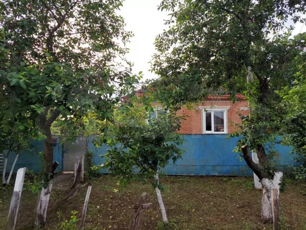 Купить Дом В Сергиевской Станице Краснодарского