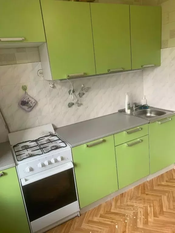 1-к кв. Псковская область, Псков Печорская ул., 1 (38.0 м) - Фото 2