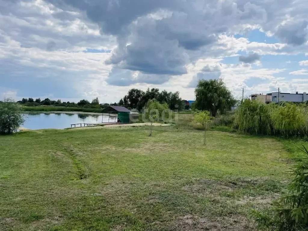 Участок в Тамбовская область, Тамбов городской округ, с. Бокино ул. ... - Фото 0