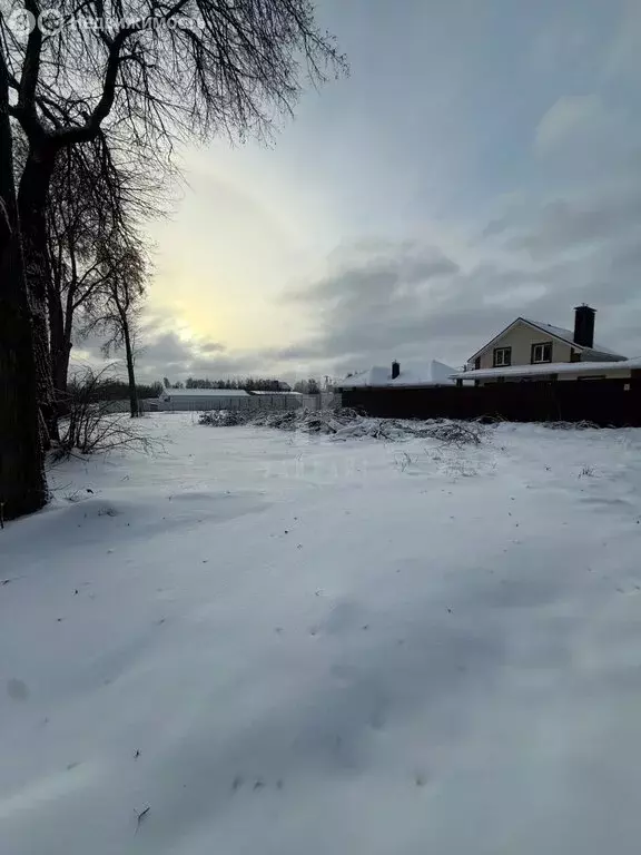 Участок в Нижегородская область, Богородский муниципальный округ, ... - Фото 1