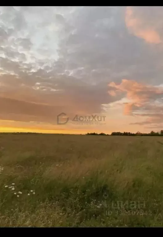 Участок в Крым, Сакский район, с. Уютное ул. Фруктовая (7.81 сот.) - Фото 1