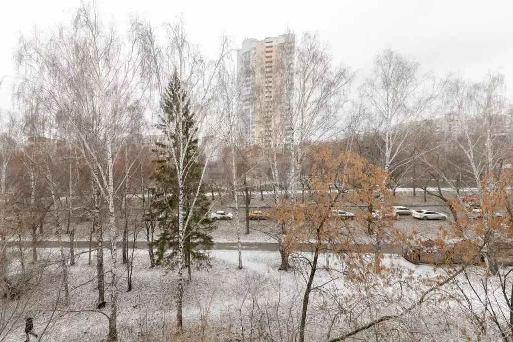 1-к кв. Свердловская область, Екатеринбург ул. Шаумяна, 94 (28.3 м) - Фото 2