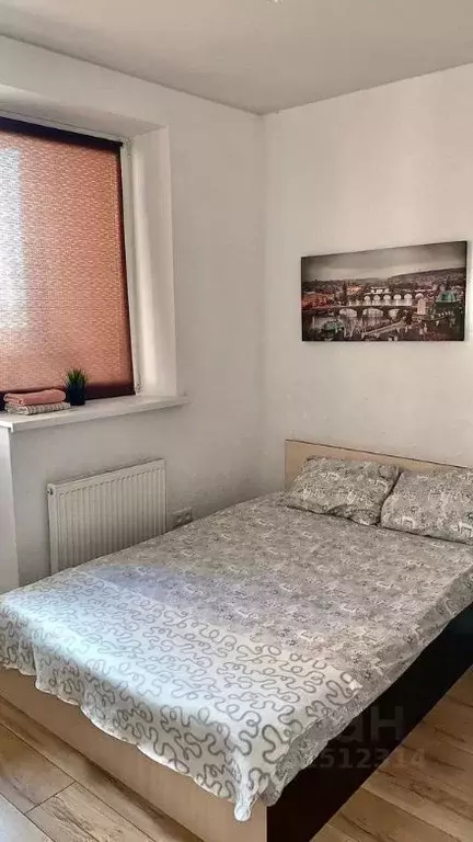 Студия Московская область, Звенигород Одинцовский городской округ, ... - Фото 2