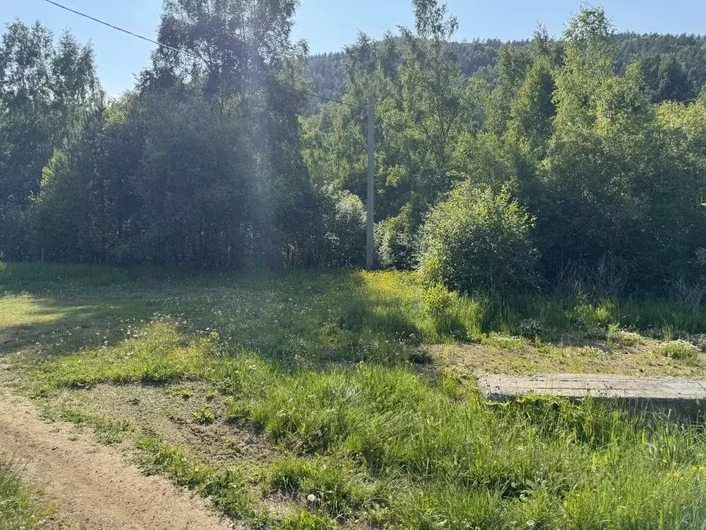 Участок в Иркутская область, Иркутский муниципальный округ, Листвянка ... - Фото 1