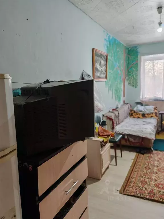 Комната Алтайский край, Барнаул городской округ, Южный рп ул. ... - Фото 1