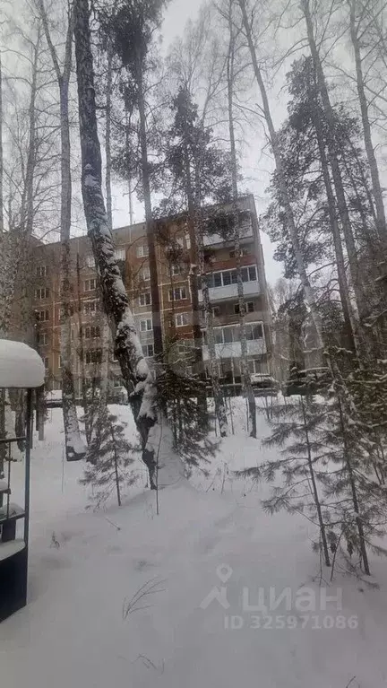 2-к кв. Челябинская область, Чебаркульский муниципальный округ, с. ... - Фото 2