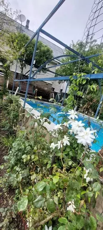 Дом в Краснодарский край, Сочи городской округ, Красная Поляна пгт ул. ... - Фото 0