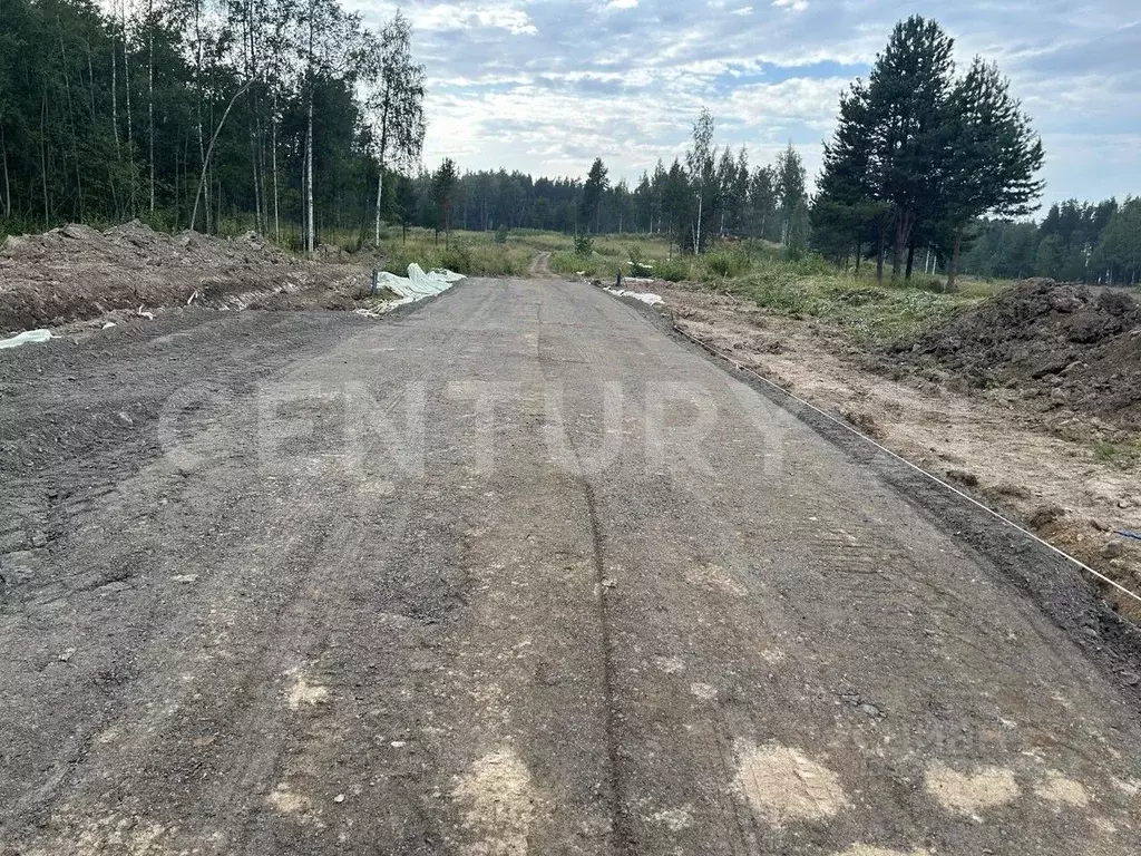 Участок в Ленинградская область, Приозерский район, Громовское с/пос, ... - Фото 1