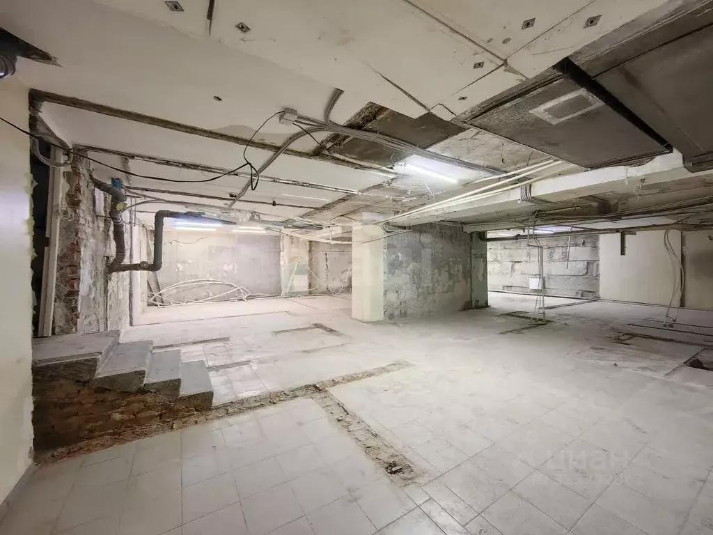 Помещение свободного назначения в Новосибирская область, Новосибирск ... - Фото 1