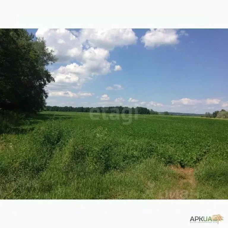 Участок в Белгородская область, Новооскольский муниципальный округ, с. ... - Фото 1