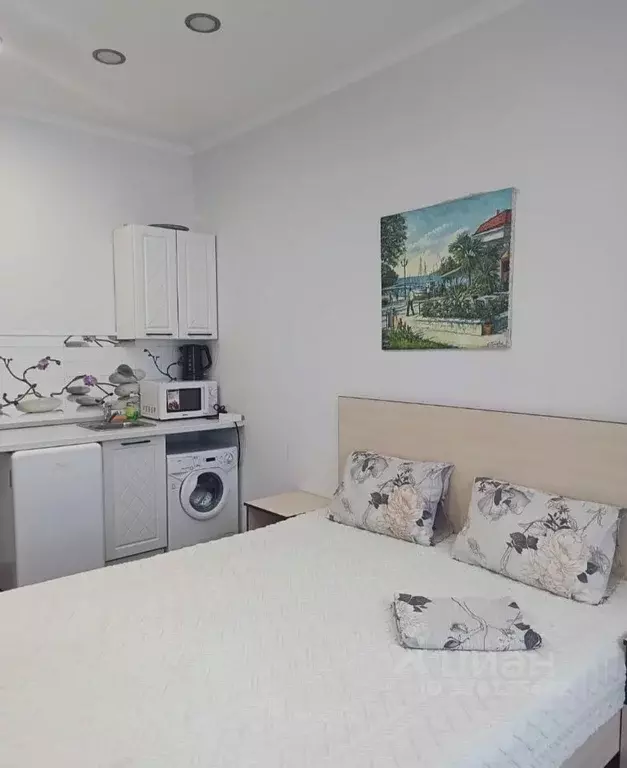 1-к кв. Краснодарский край, Сочи Курортный просп., 75к1 (25.0 м) - Фото 2