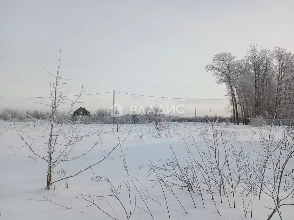 Участок в Ивановская область, Ивановский район, с. Ново-Талицы  (7.5 ... - Фото 0