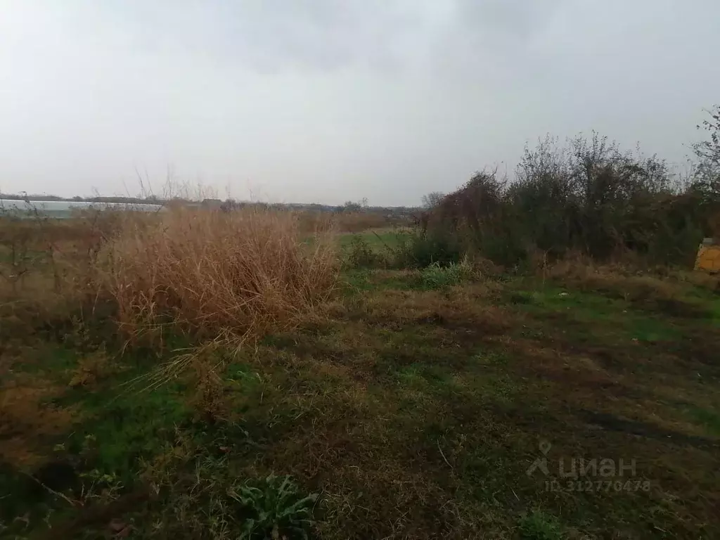 Участок в Краснодарский край, Новокубанск Дружба СНТ, ул. Проточная ... - Фото 0