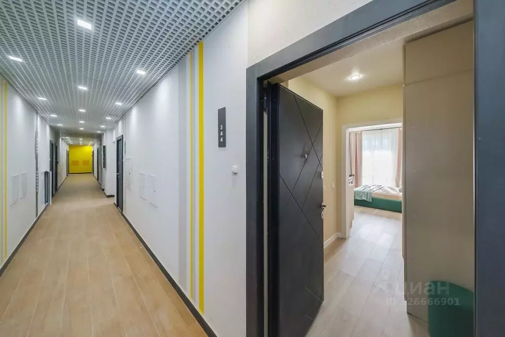 Студия Краснодарский край, Сочи ул. Искры, 88к2 (24.5 м) - Фото 2