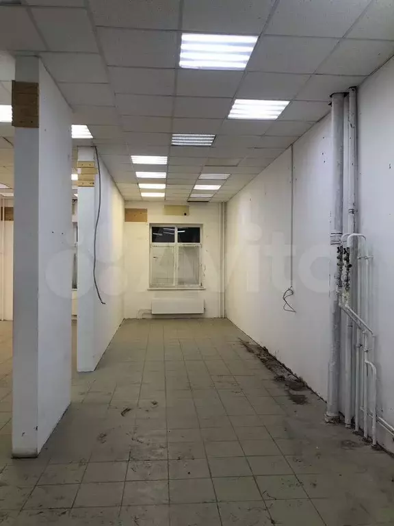 Сувениры/шары/зоомагазин/груминг/ресницы - Фото 0