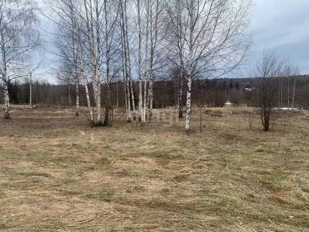 Участок в Московская область, городской округ Клин, деревня Троицкое ... - Фото 1
