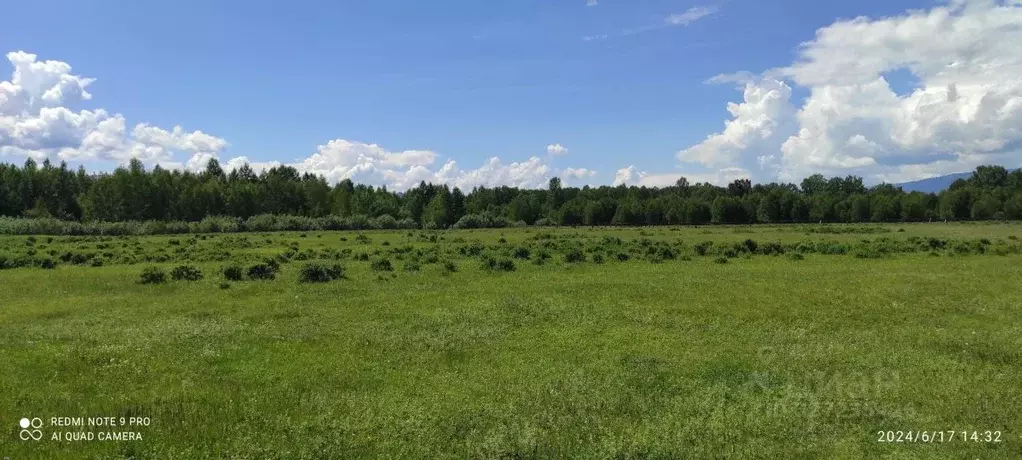 Участок в Алтай, Усть-Коксинский район, пос. Октябрьское ул. Дорожная ... - Фото 2