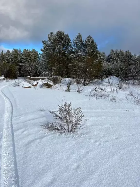 Помещение свободного назначения в Пензенская область, Кузнецкий район, ... - Фото 1