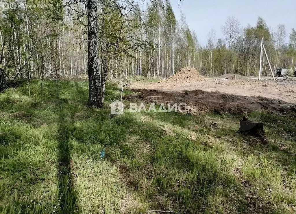 Участок в Тобольск, микрорайон Усадьба (9.4 м) - Фото 1