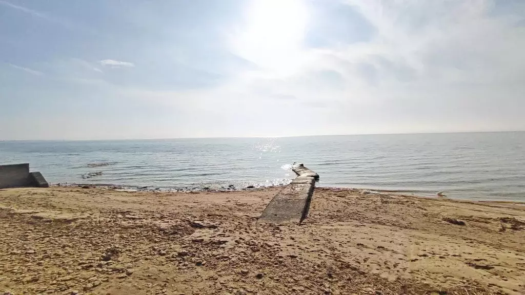 Участок в Ростовская область, Неклиновский район, с. Натальевка ул. ... - Фото 2