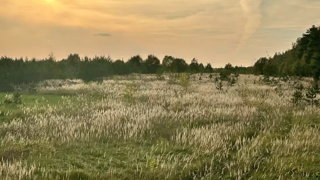 Участок в Московская область, Ступино городской округ, д. Протасово ... - Фото 0