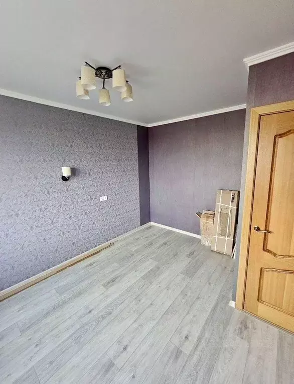 1-к кв. Краснодарский край, Геленджик ул. Свердлова (22.0 м) - Фото 1