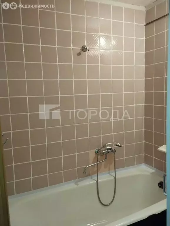 1-комнатная квартира: Барнаул, улица Эмилии Алексеевой, 68 (17.8 м) - Фото 1