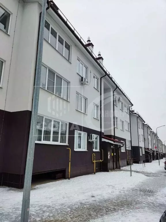 2-к кв. Воронежская область, Рамонский район, с. Ямное ул. Ягодная, 11 ... - Фото 1