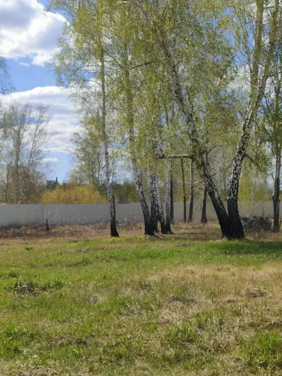 Участок в Омская область, Омский район, с. Красноярка ул. Окружная ... - Фото 2
