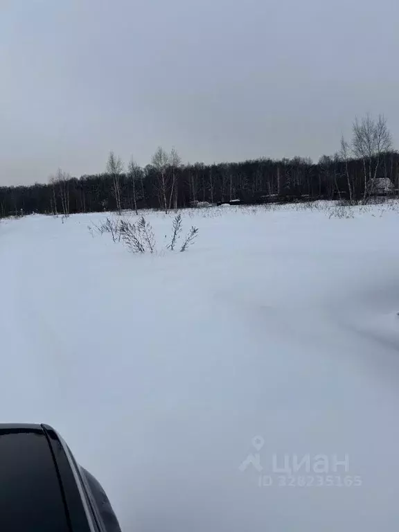 Участок в Московская область, Чехов муниципальный округ, д. Сенино  ... - Фото 1