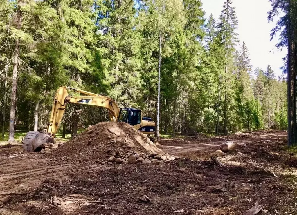 Участок в Ленинградская область, Приозерский район, Раздольевское ... - Фото 2